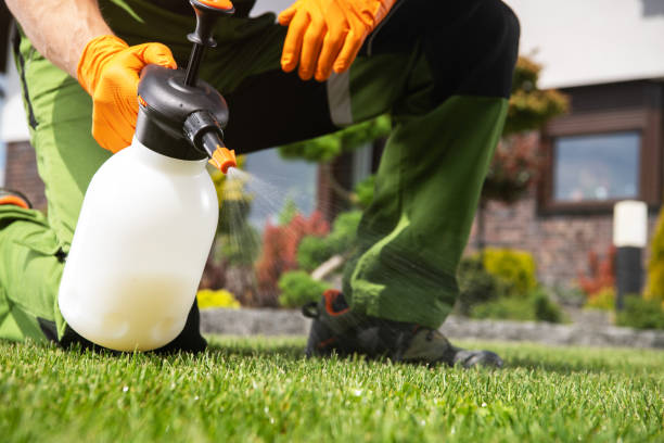 Best Wasp Removal Services  in Millcreek, UT